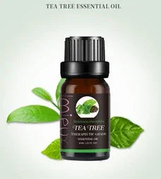 PureThera Single Essential Oil — 10 ml Steam-Distilled Purity - Y.S Alley