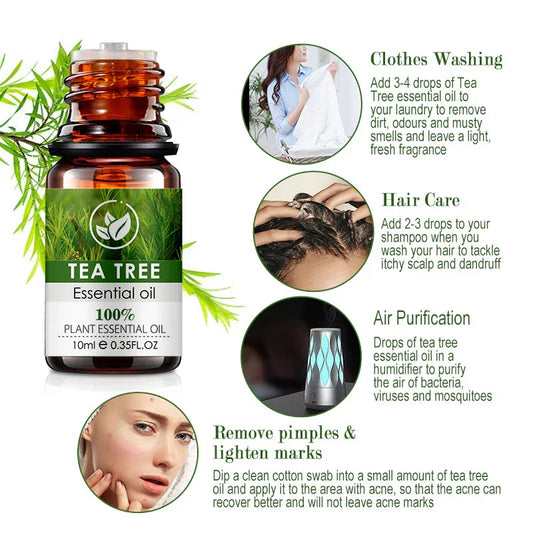 100 % Pure Tea Tree Essential Oil | 10 ml - Y.S Alley
