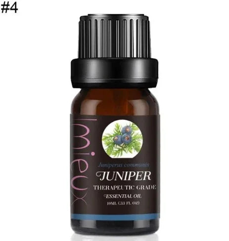 PureThera Single Essential Oil — 10 ml Steam-Distilled Purity - Y.S Alley