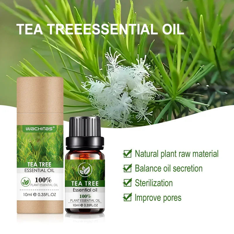 100 % Pure Tea Tree Essential Oil | 10 ml - Y.S Alley